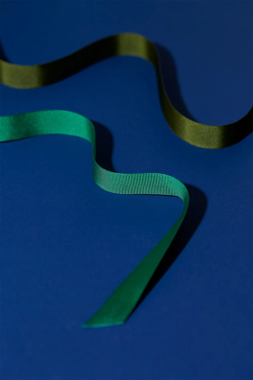 Sensationelles Ripsband – 5 Meter – Bild 2