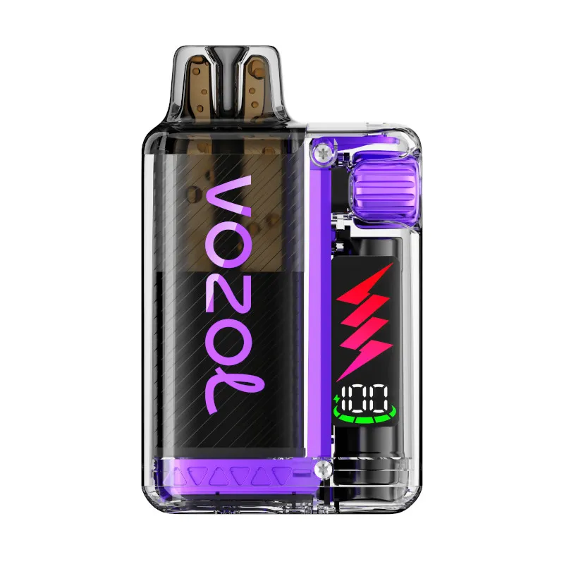 VOZOL ~ Vista Plug ~ Starter Kit ~ Blueberry Raspberry Lemon